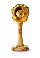 Rowden-school-trophy_142.jpg