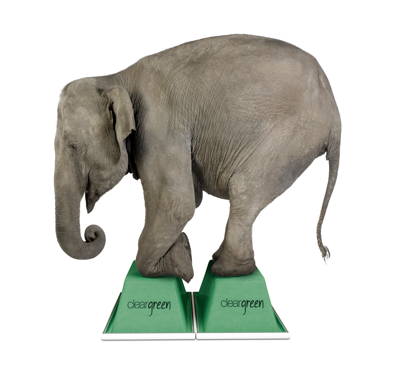 * Elephant-standing.jpg