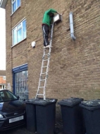 idiot-on-ladder-2014.jpg